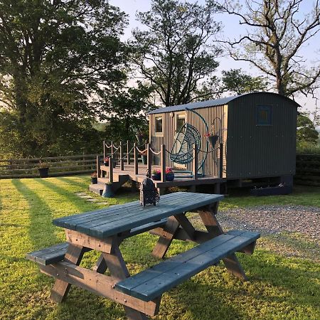 The Peacock Shepherds Hut At Hafoty Boeth Corwen Buitenkant foto