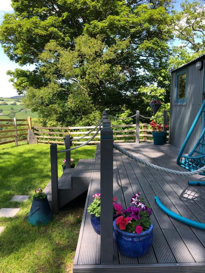 The Peacock Shepherds Hut At Hafoty Boeth Corwen Buitenkant foto