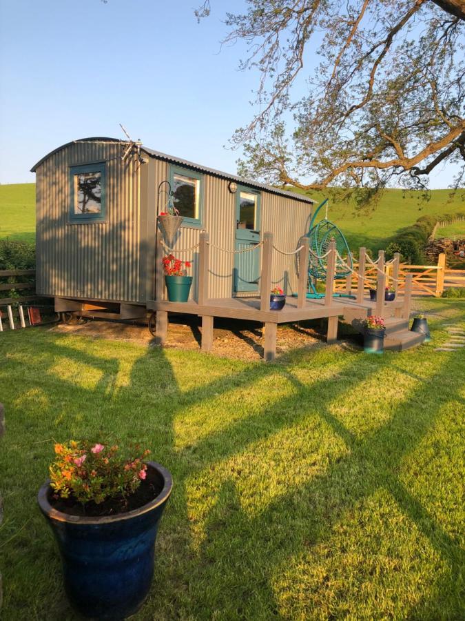 The Peacock Shepherds Hut At Hafoty Boeth Corwen Buitenkant foto