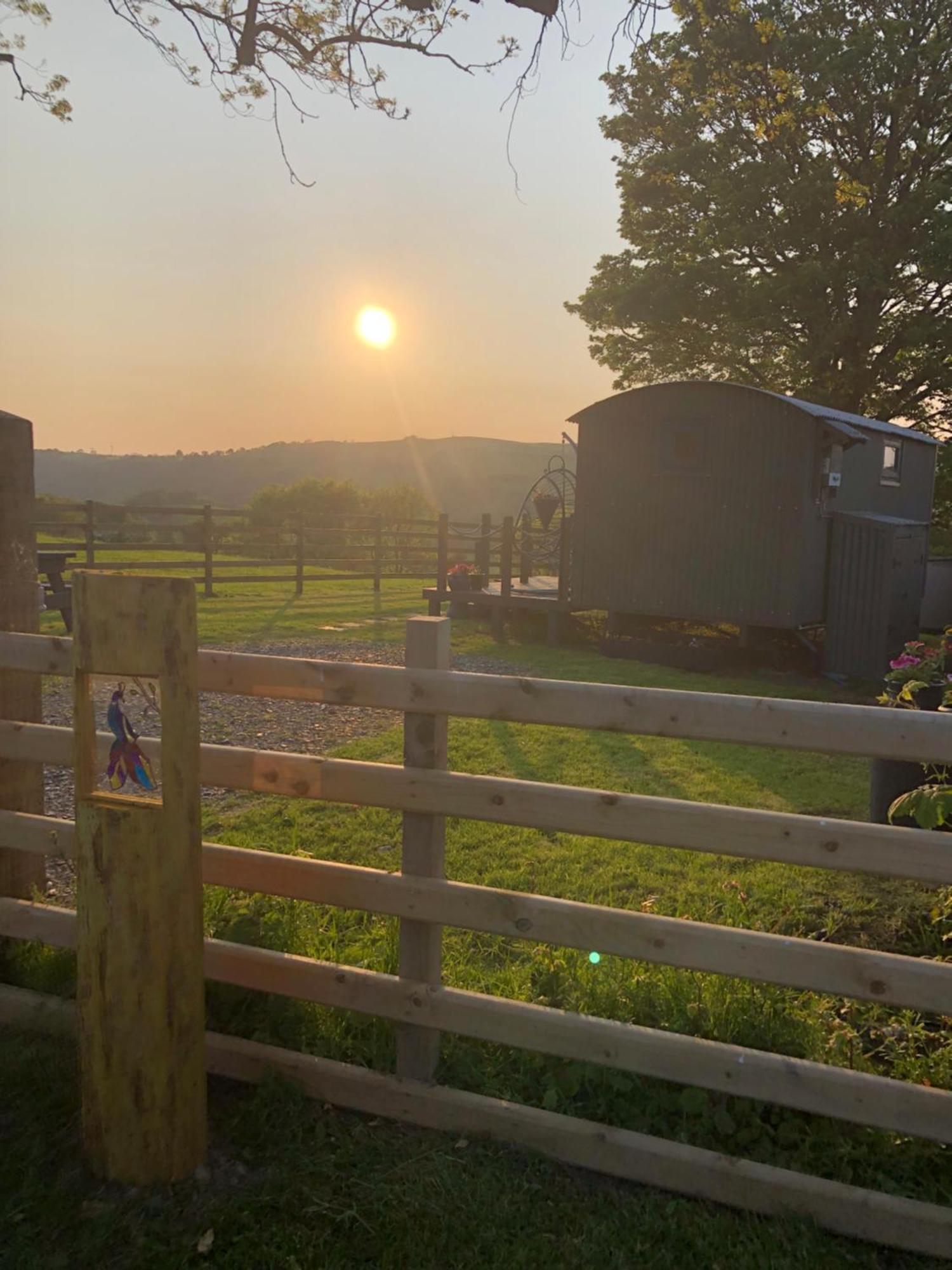 The Peacock Shepherds Hut At Hafoty Boeth Corwen Buitenkant foto