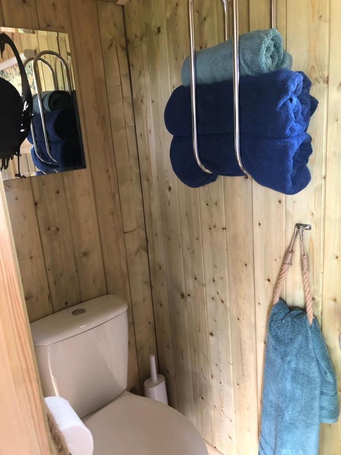 The Peacock Shepherds Hut At Hafoty Boeth Corwen Buitenkant foto