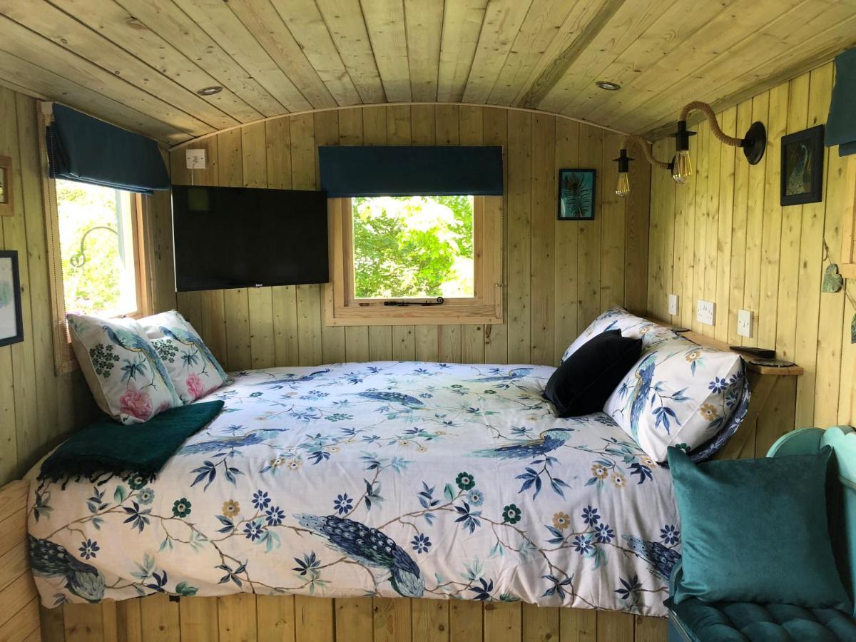 The Peacock Shepherds Hut At Hafoty Boeth Corwen Buitenkant foto