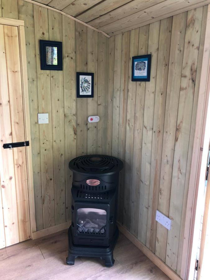 The Peacock Shepherds Hut At Hafoty Boeth Corwen Buitenkant foto
